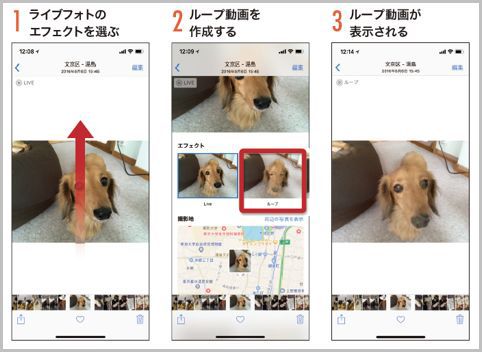 iPhoneのライブフォトをループ動画にして共有