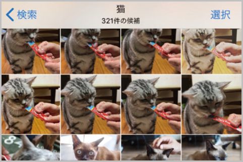 iPhoneの写真検索で使える4つのテクニック